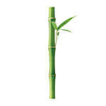 bambu1